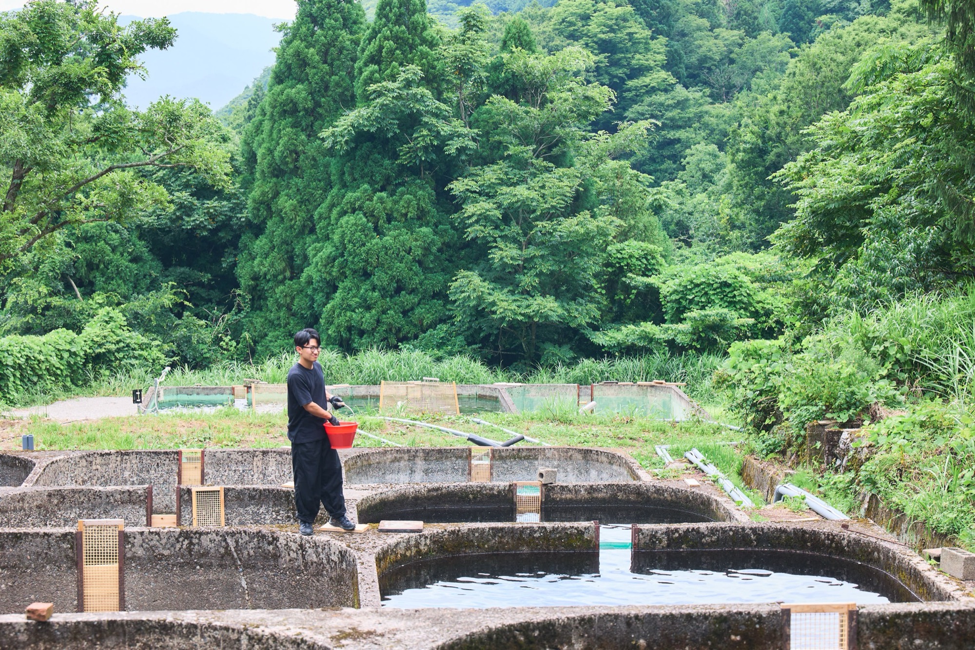 福井県大野市の淡水養殖場